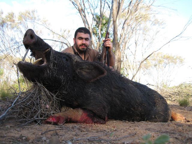 Boar 450 Ackley_2.jpg