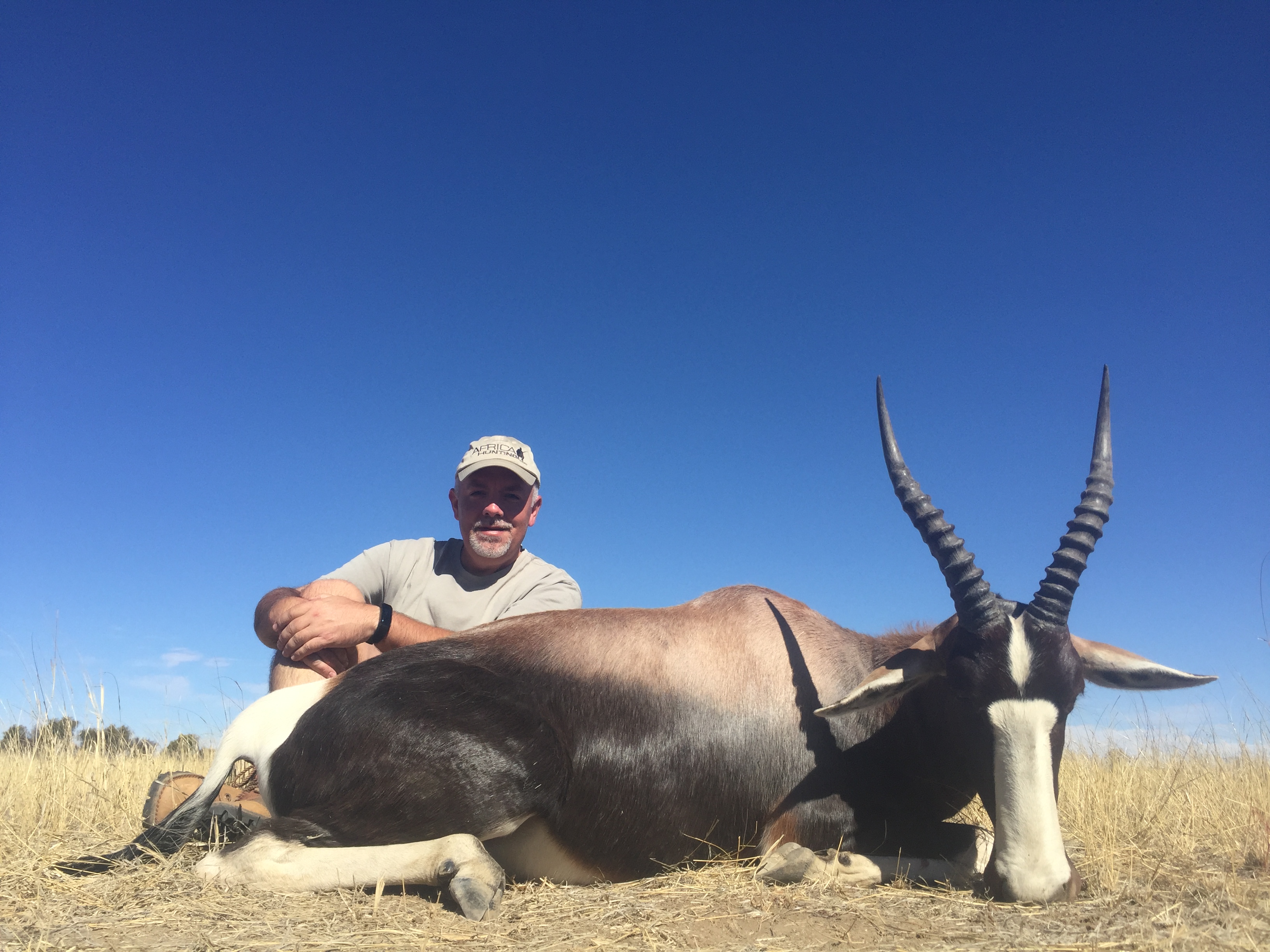 Bontebok.JPG