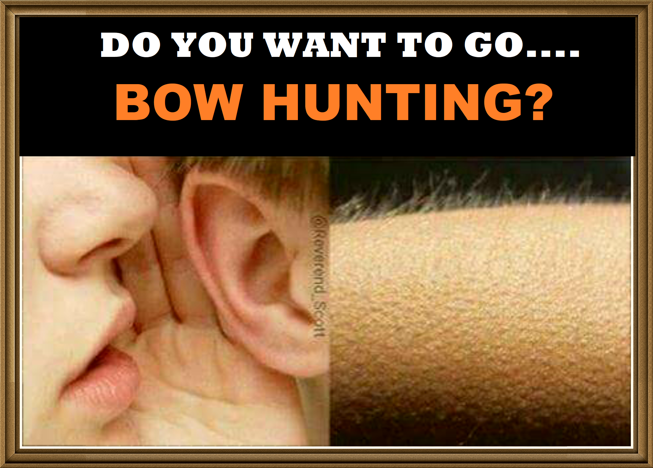 BOWHUNTING.png