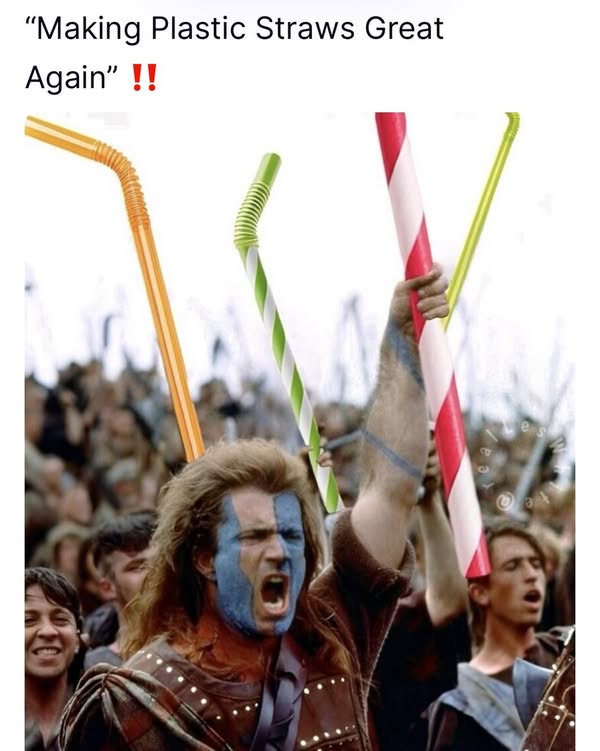 braveheart straws meme.jpg