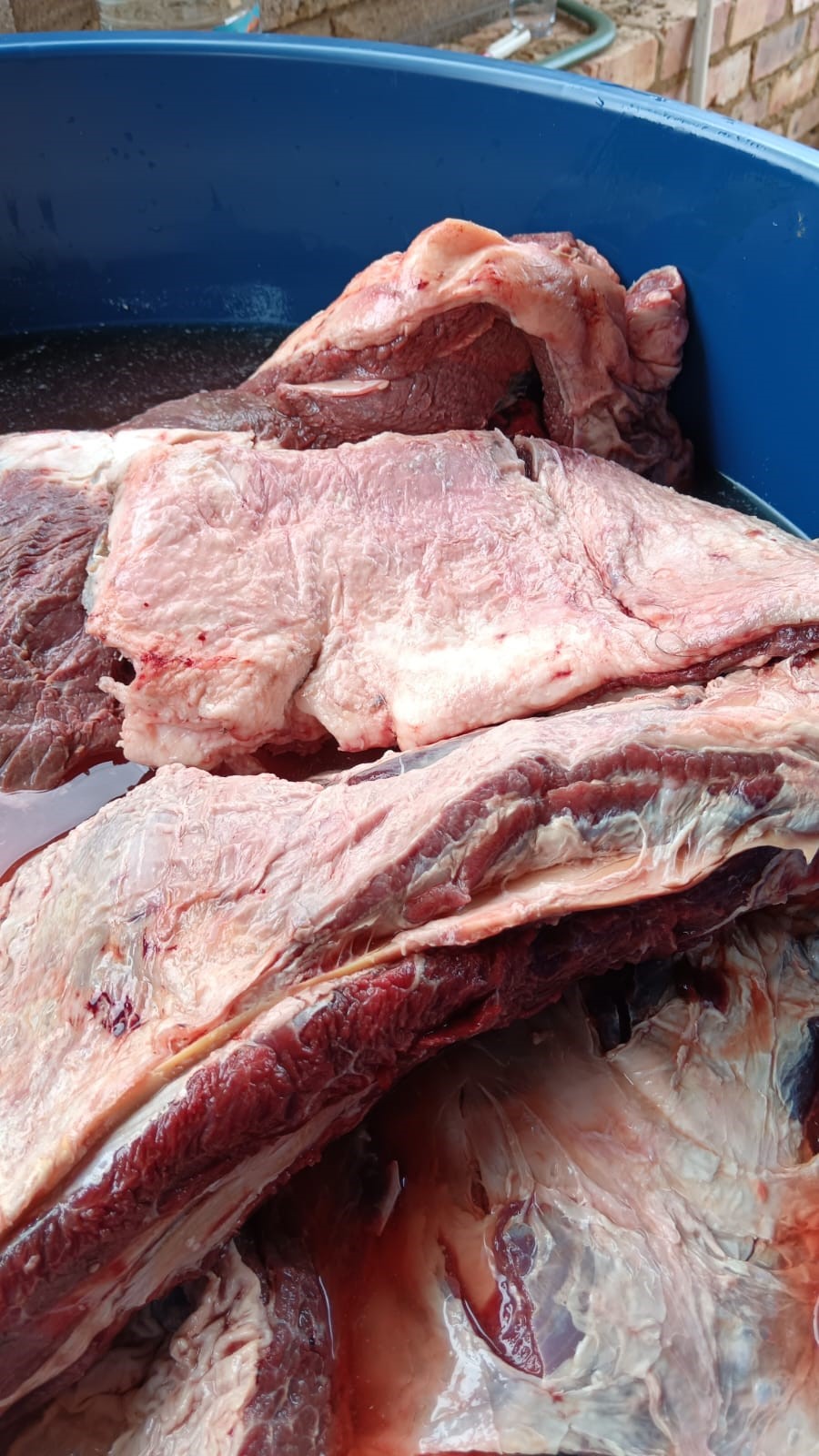 Buffalo back strap  meat  for biltong f5b373cf-2a96-47f6-b6cd-fa4b767ffc4e.jpeg