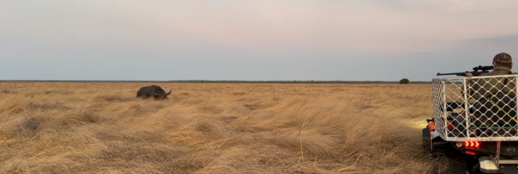 Buffalo NT Plains 10092023.png