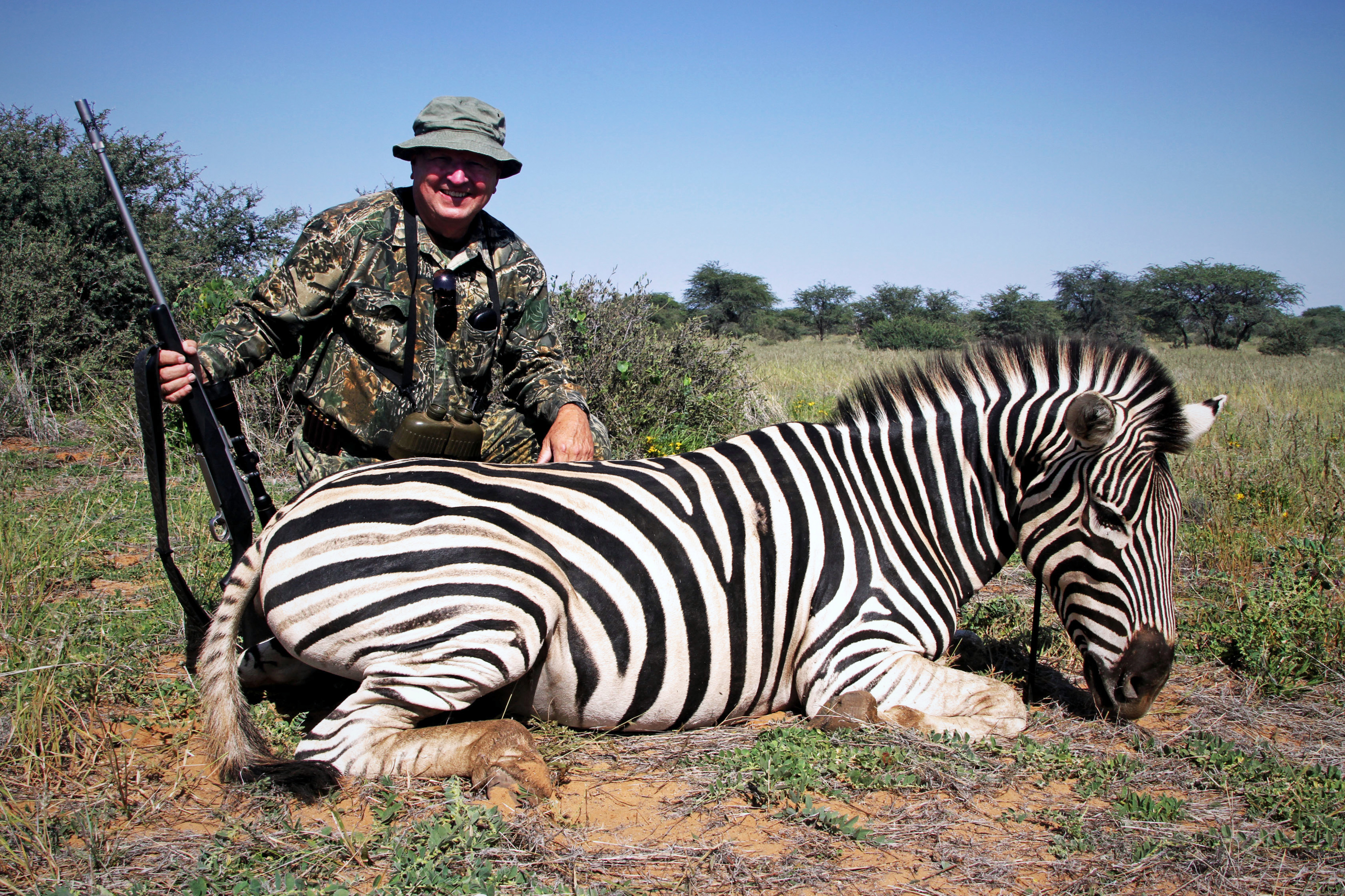 Burchell Zebra - 2.JPG