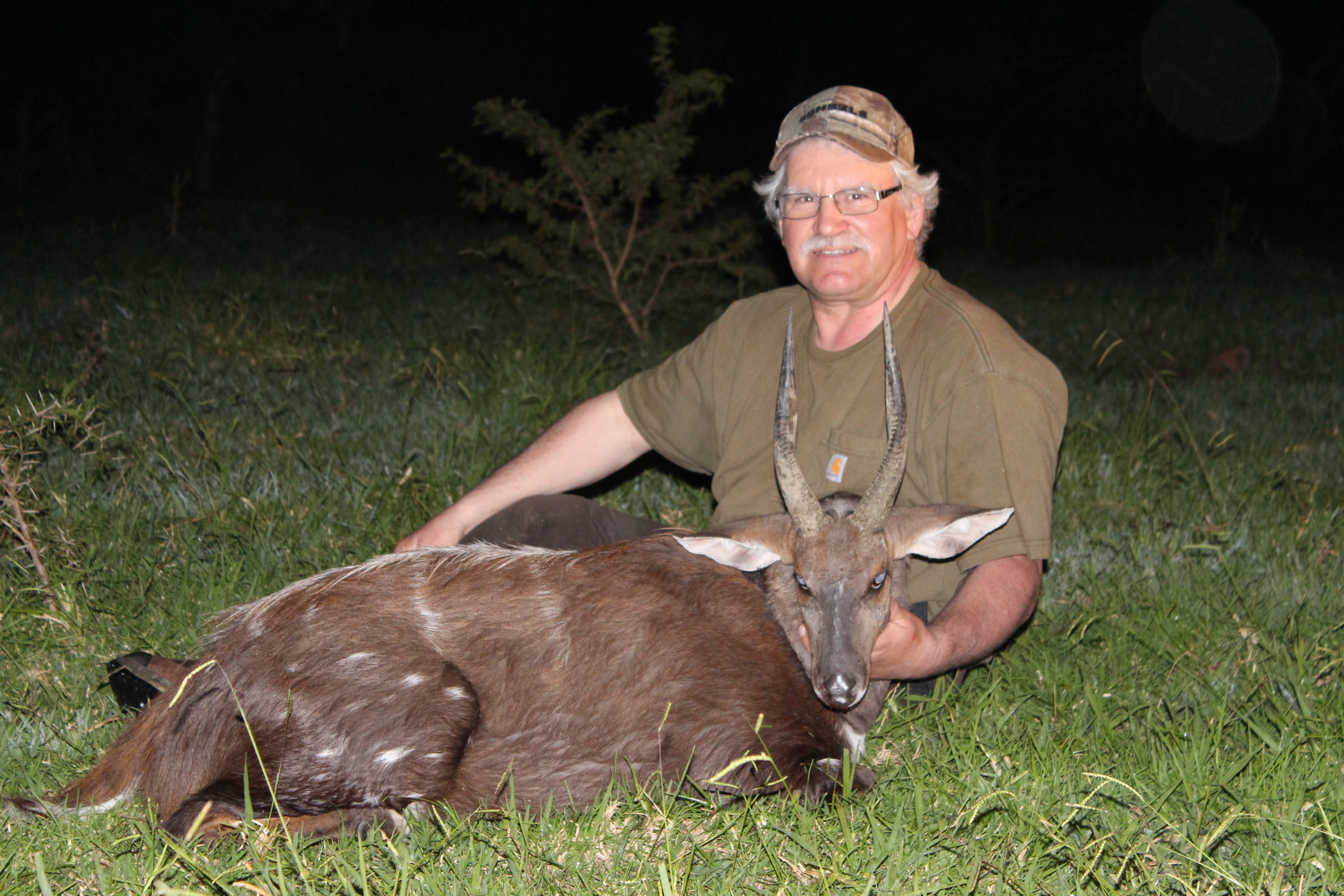 Bushbuck April 2014.jpg