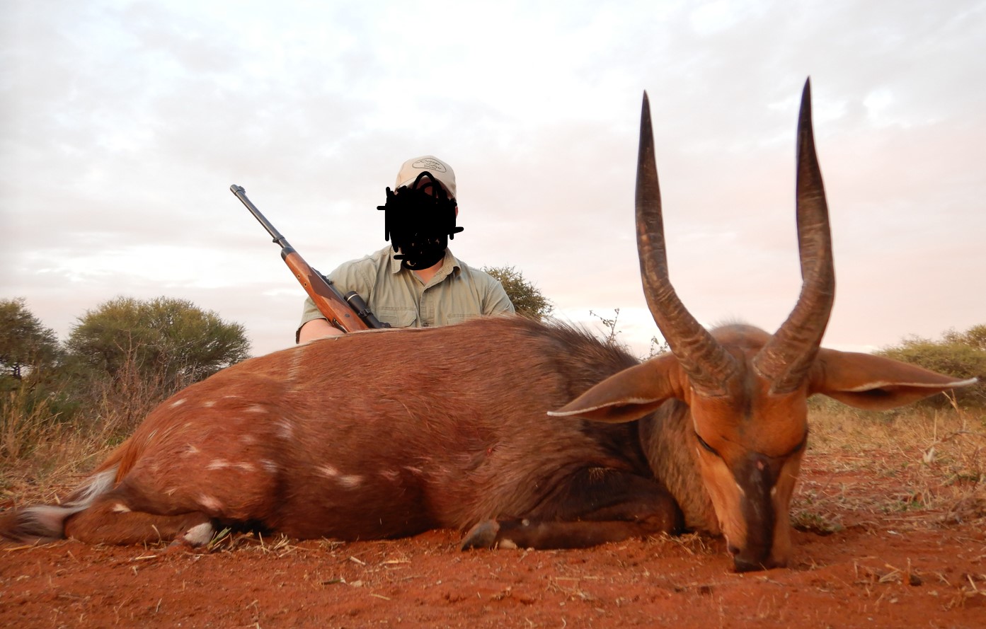 Bushbuck - No Face.jpg