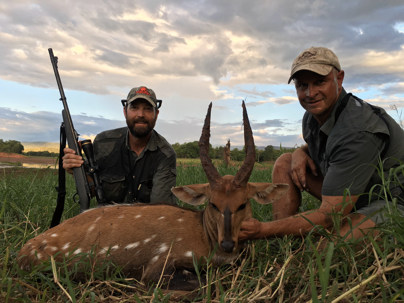 bushbuck1---1.gif