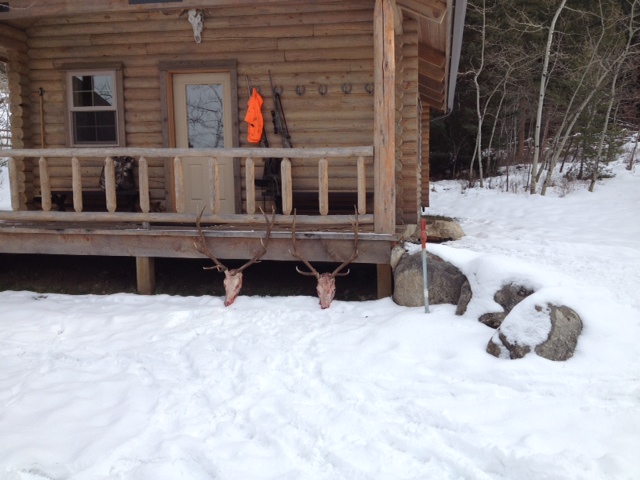 cabin with 2 elk racks.jpg