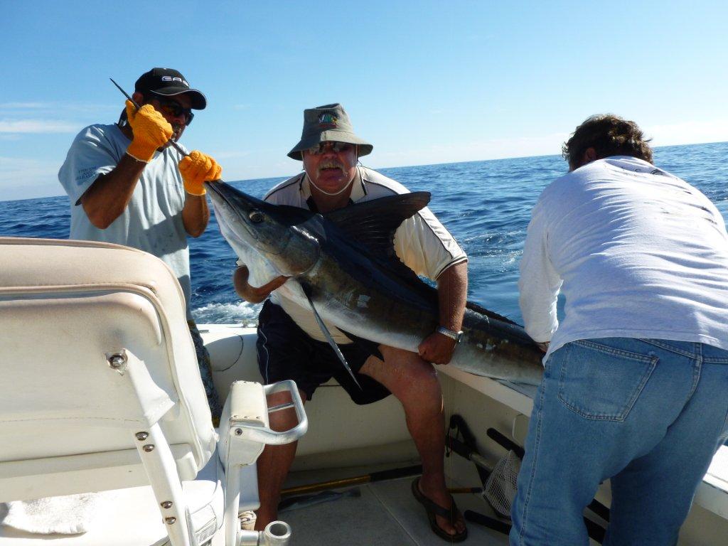 Cabo striped marlin.jpg