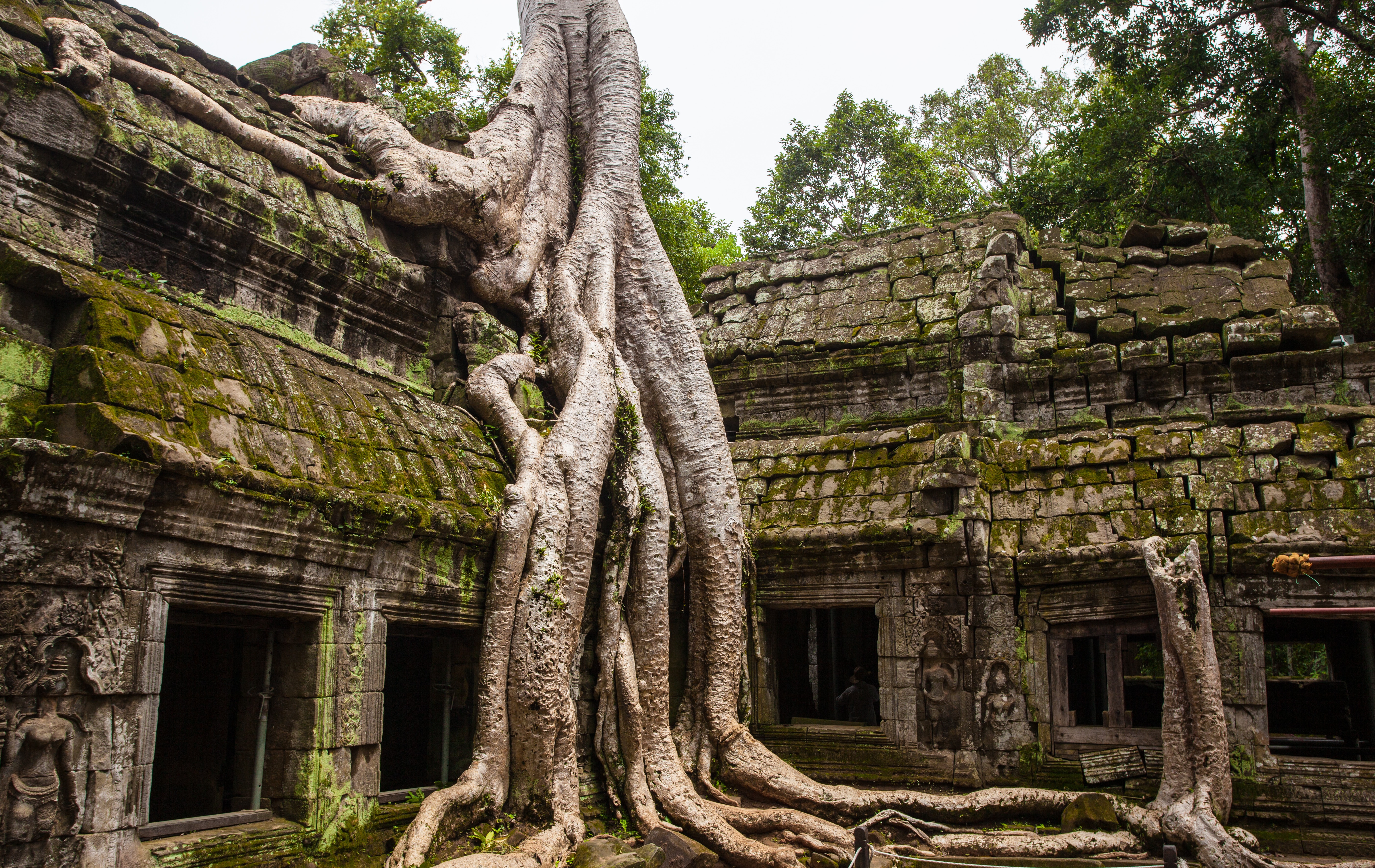 Cambodia_unsplash.jpg