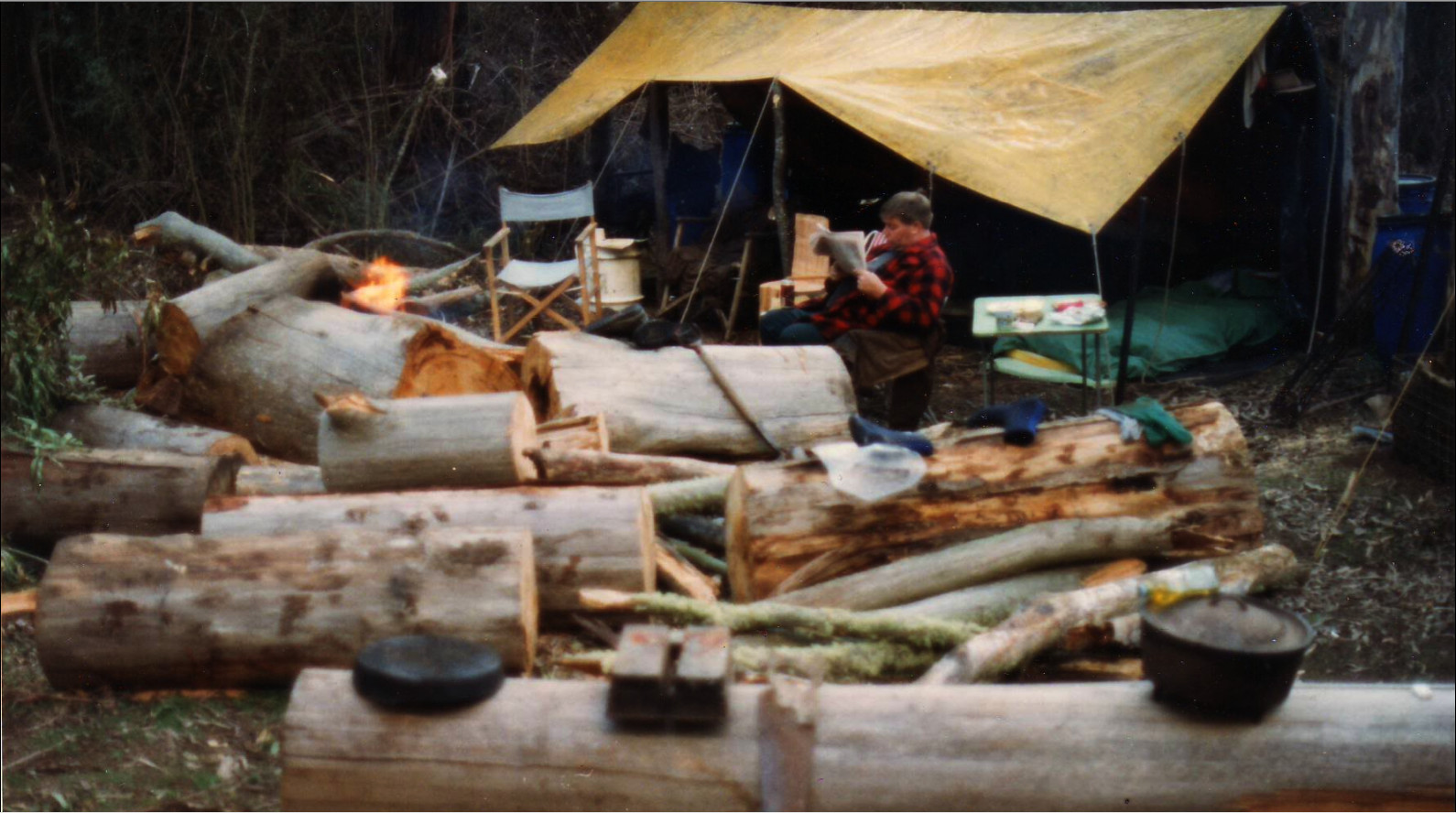 camp wood supply.jpg