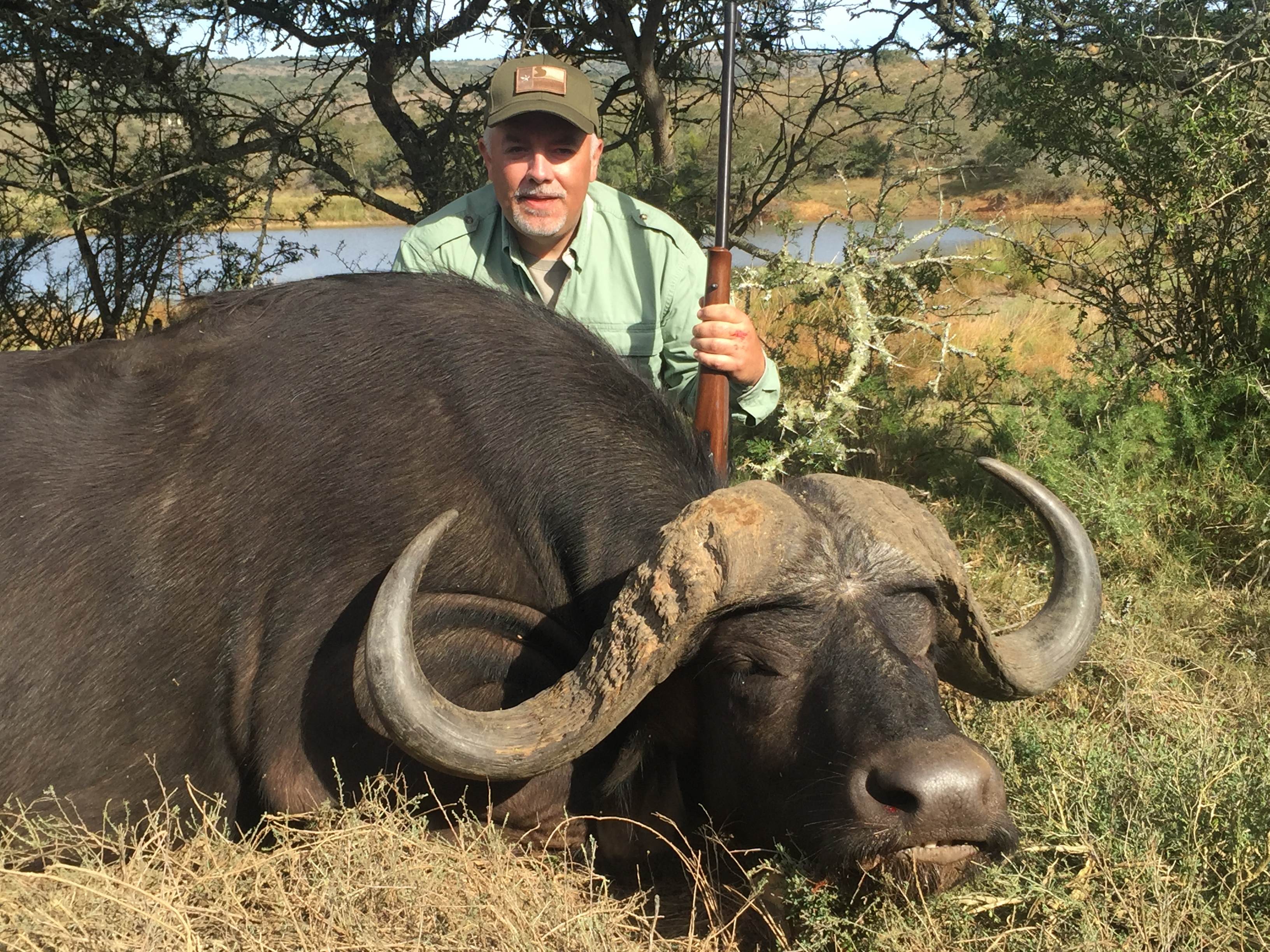 Cape Buffalo (1).JPG