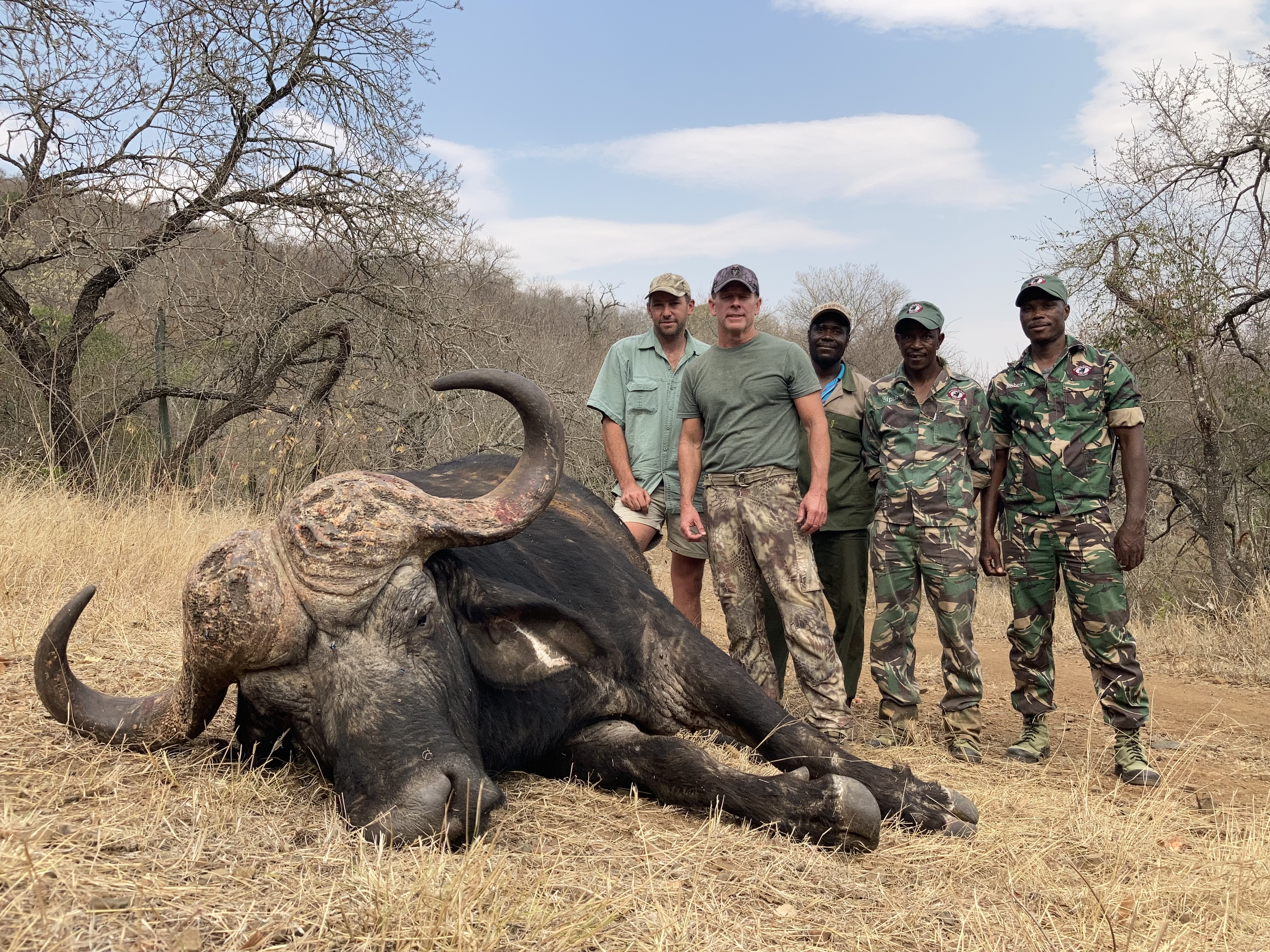 Cape Buffalo Group.jpg