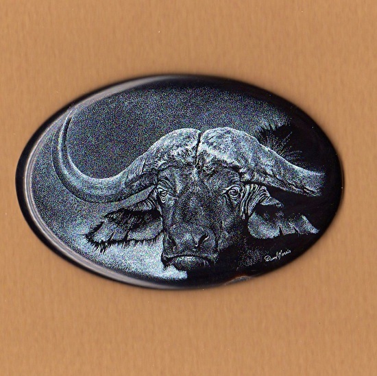 cape-buffalo.jpg