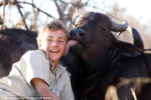 Cape Buffalo Pet.jpg