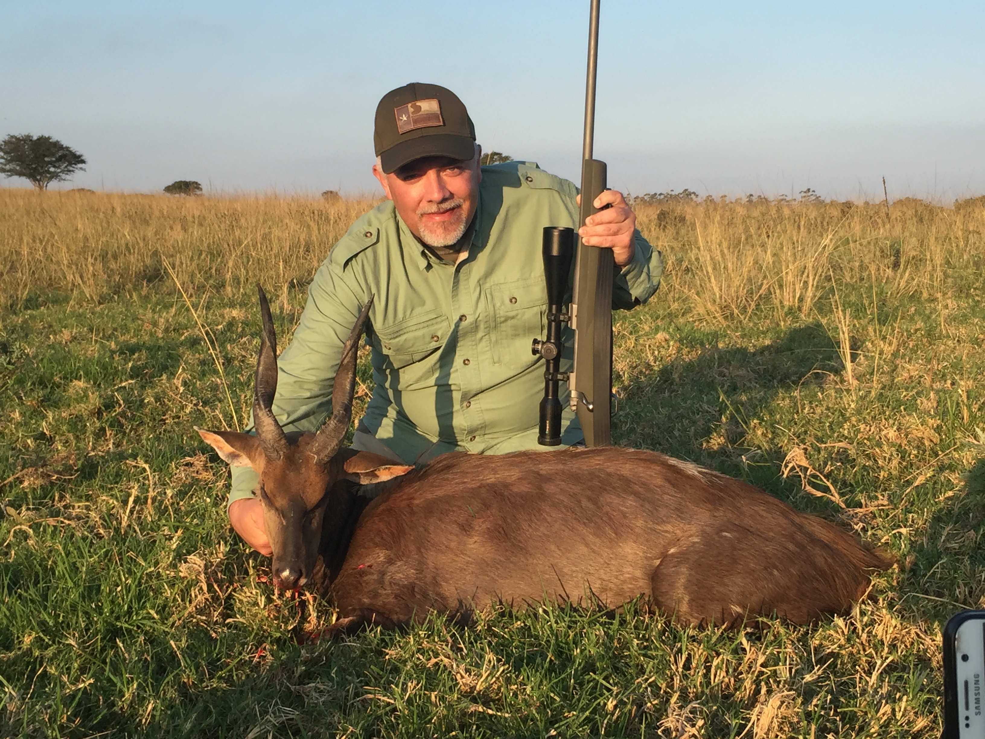 Cape Bushbuck.JPG