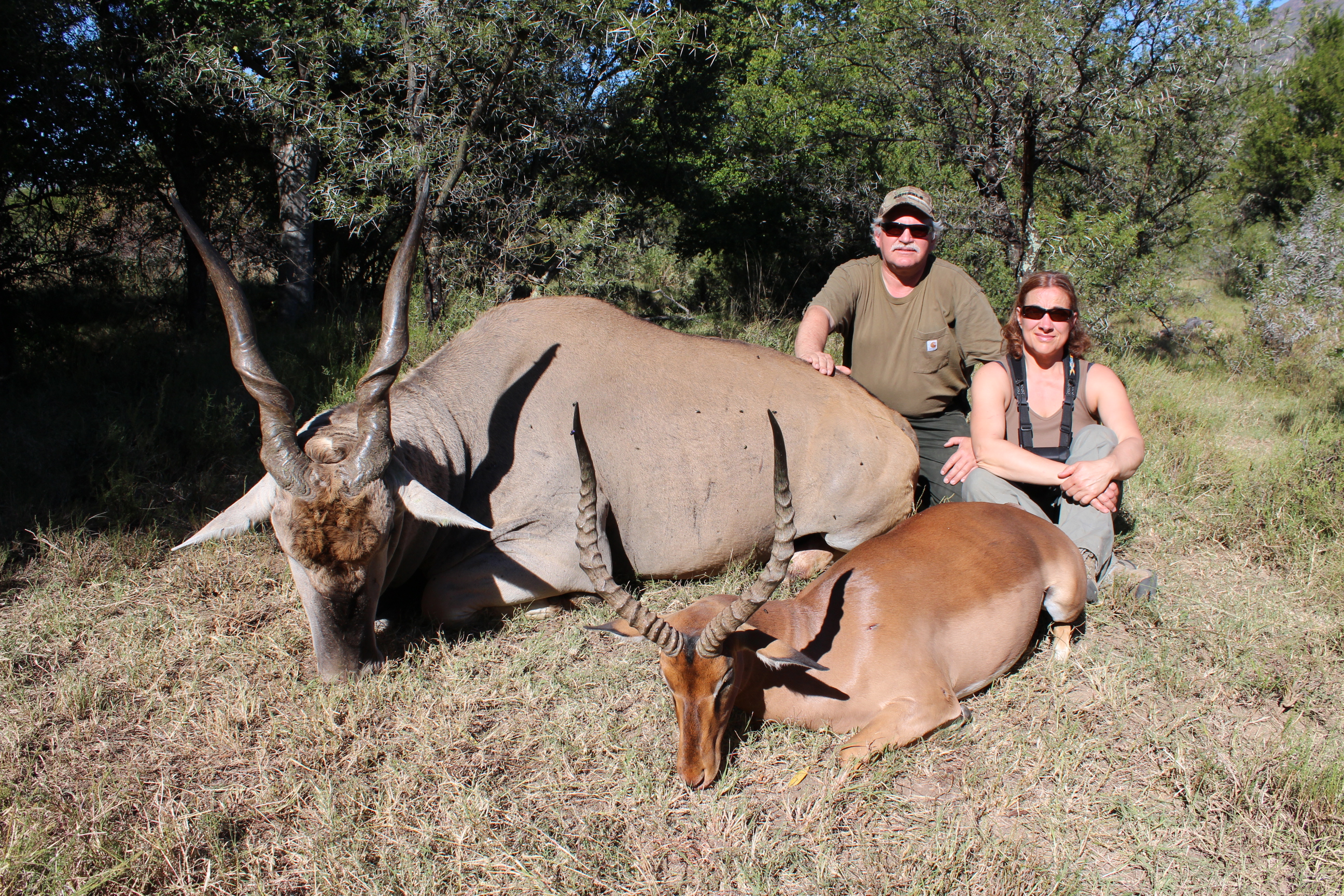 Cape Eland and Impalla April 2014.jpg