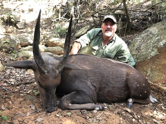 CD Bushbuck.jpg