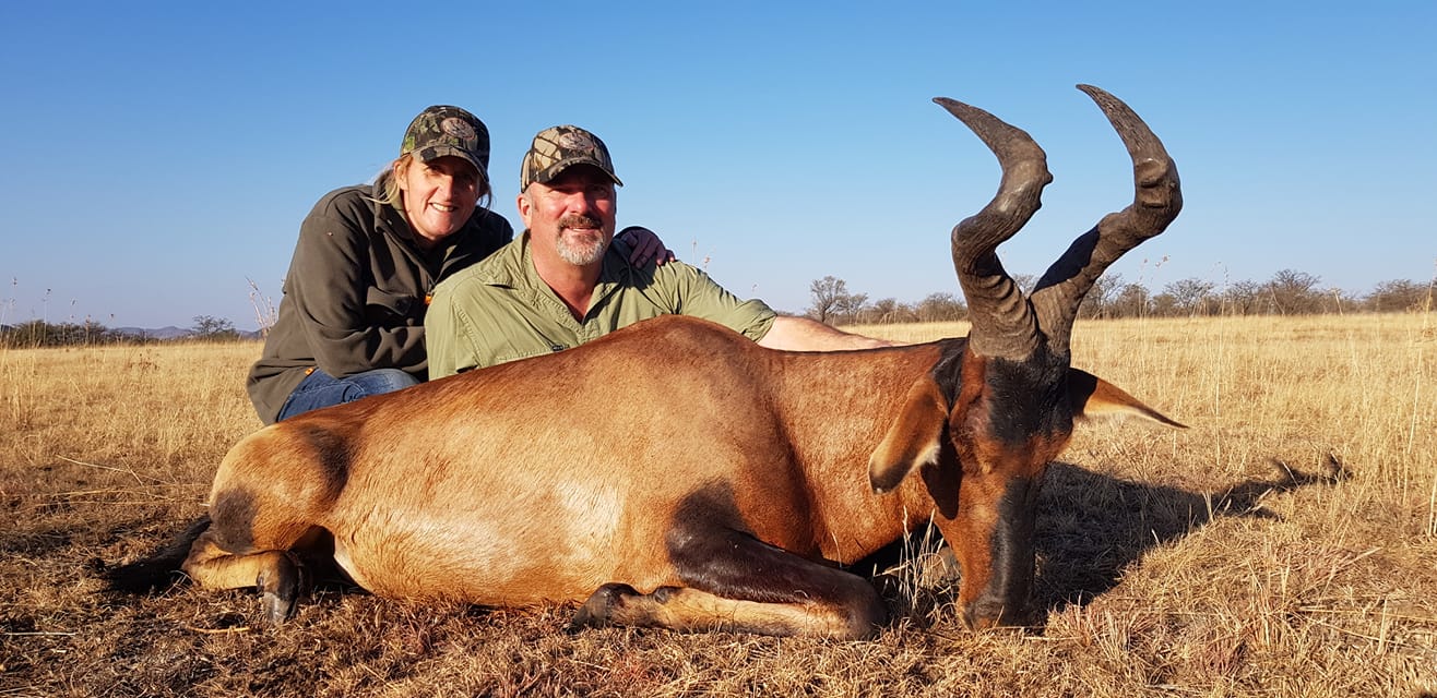 CD Red Hartebeest.jpg