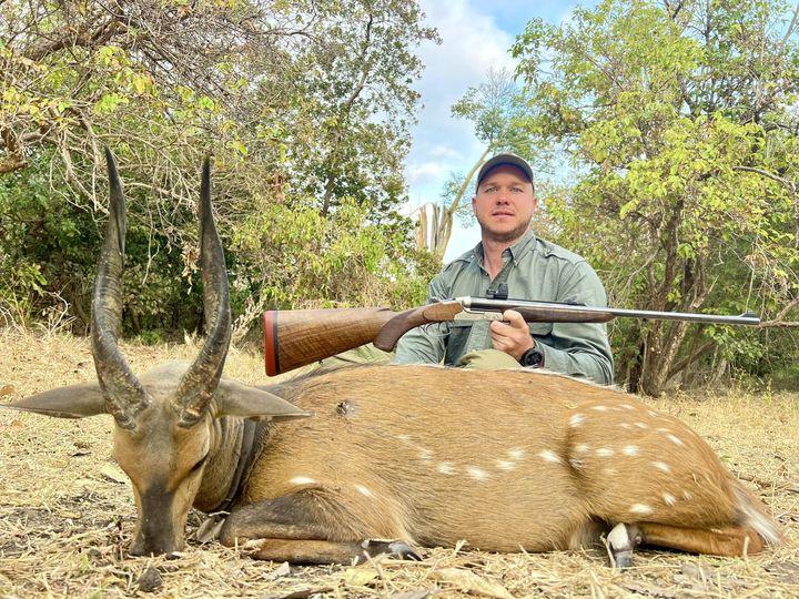 Chobe Bushbuck Niassa Reserve.jpg