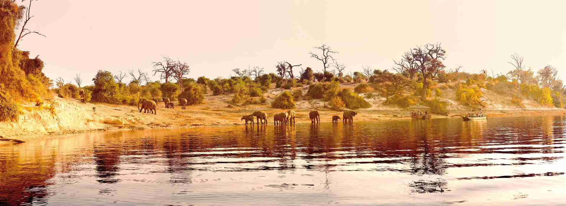 chobenationalpark1.jpg