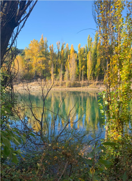 Clutha river.png