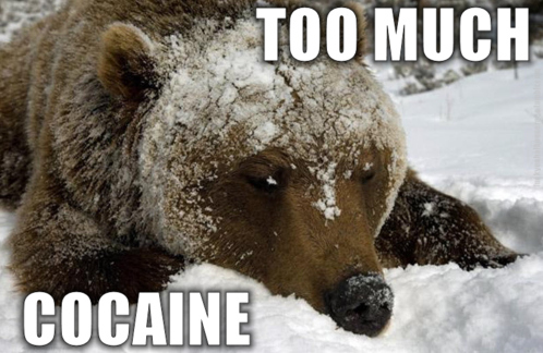 Coke Bear 2.jpg