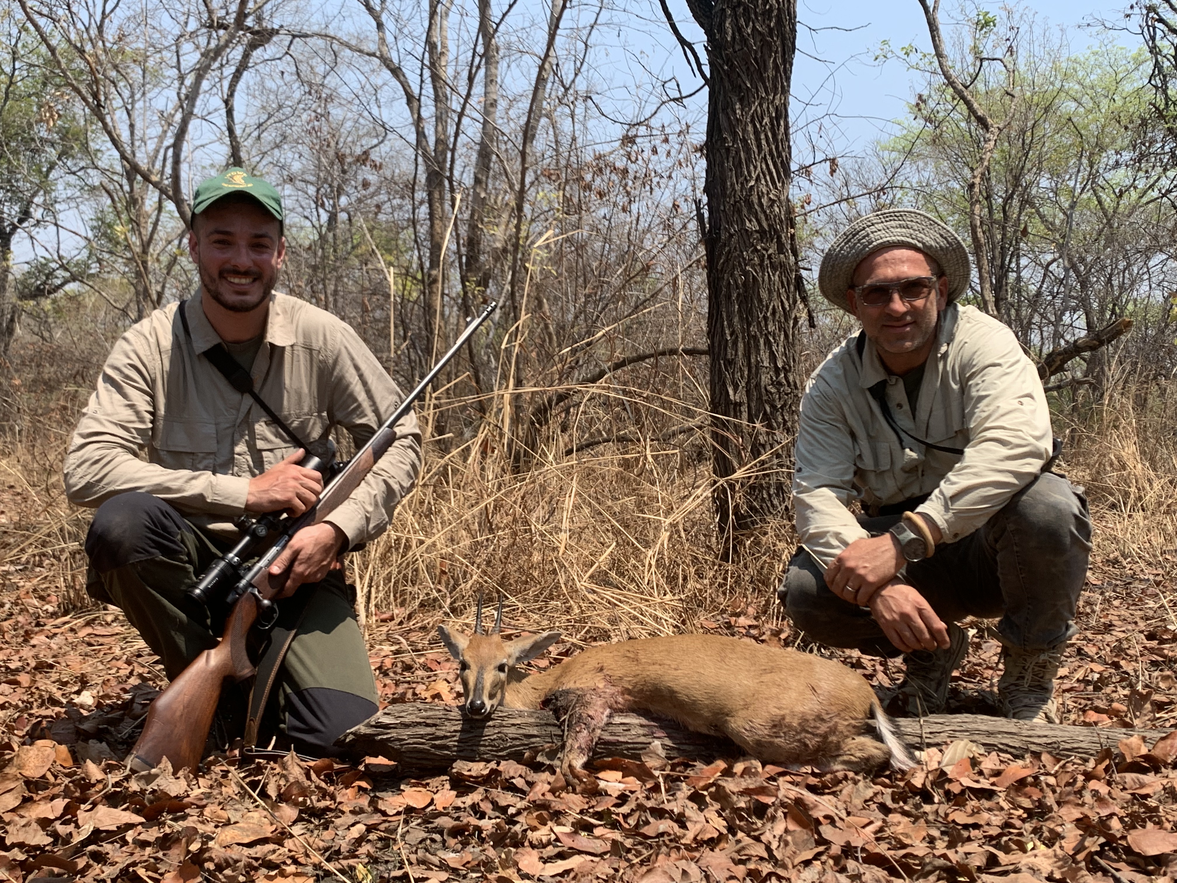 Common Duiker.JPEG