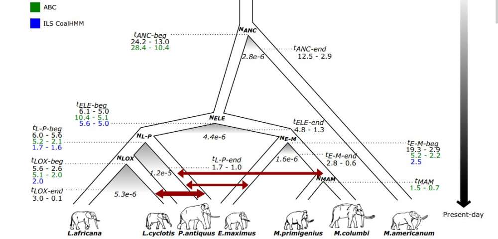 content-1519657511-elephantfamily.jpg