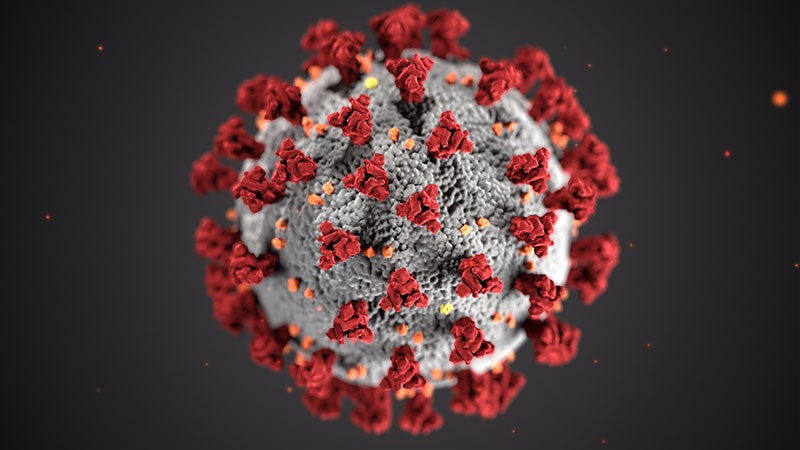 coronavirus_small.jpg