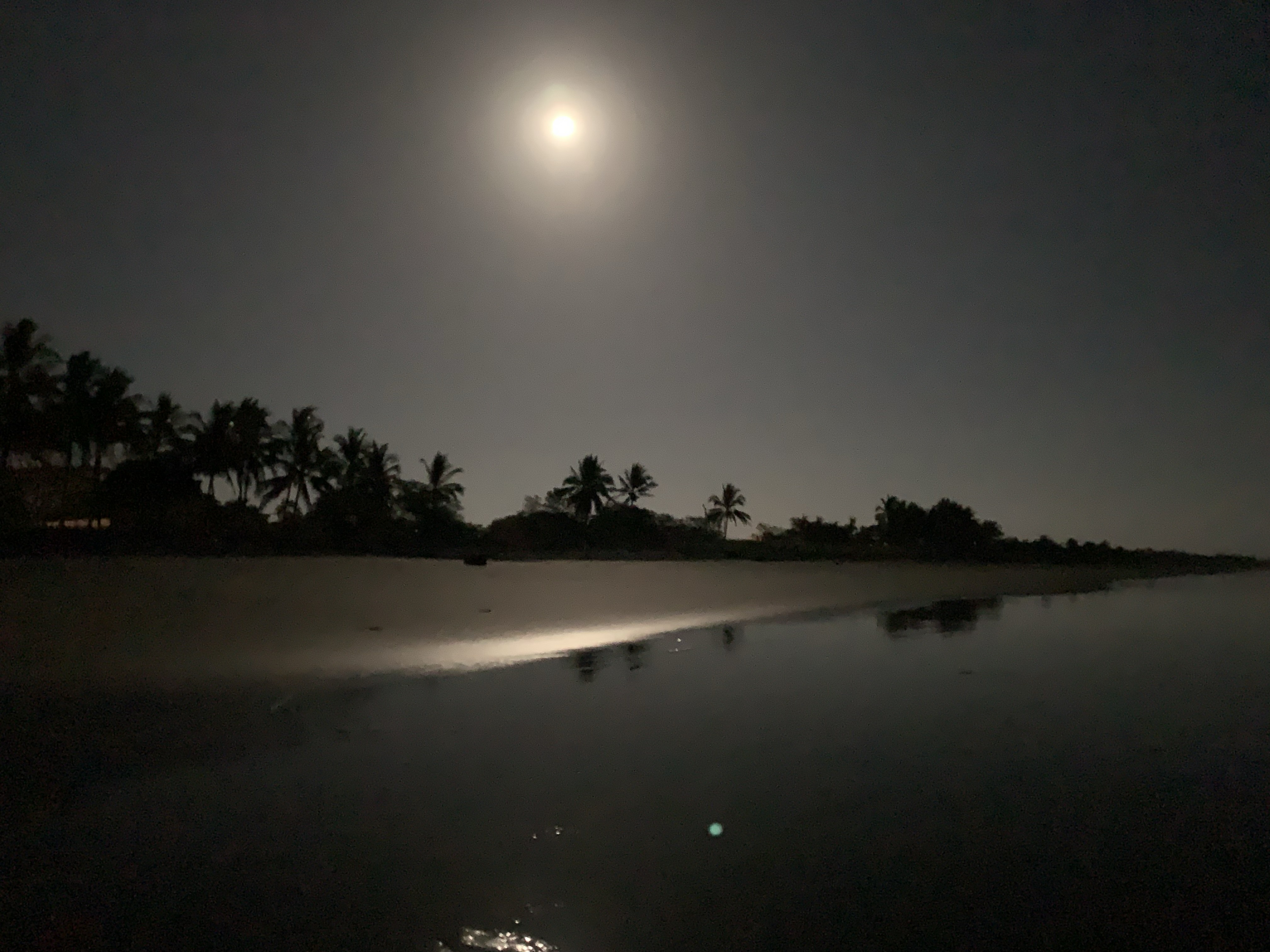 costa rica beach.jpg