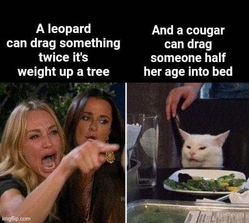 CougarLeopard.jpg