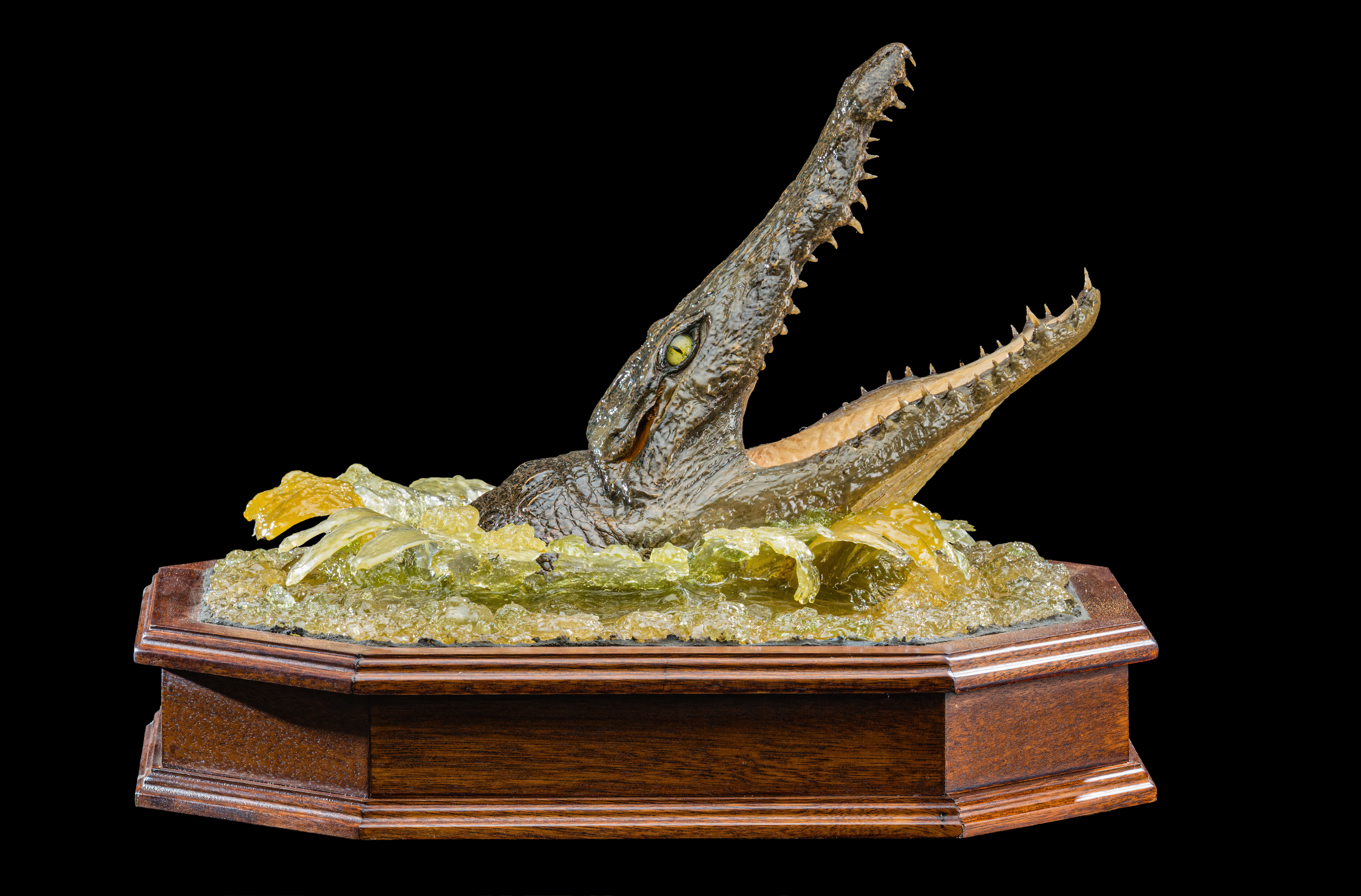 Crocodile Head Table Display - II0039.jpg