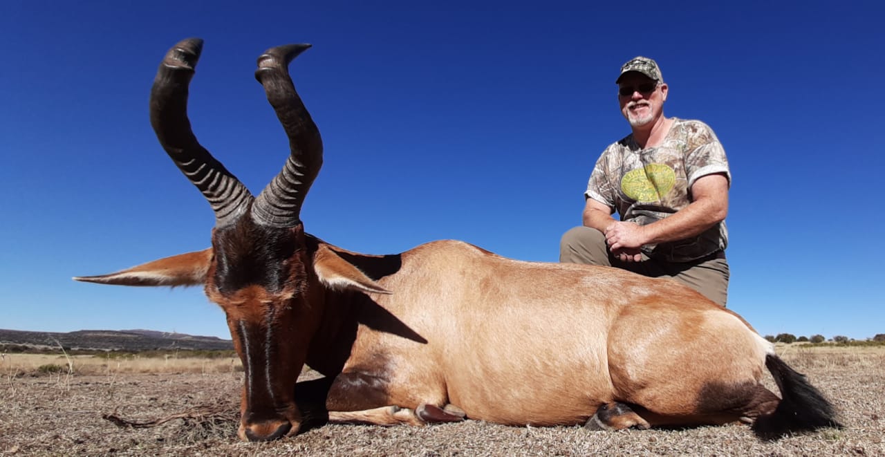 Cruse hartebeest.jpg