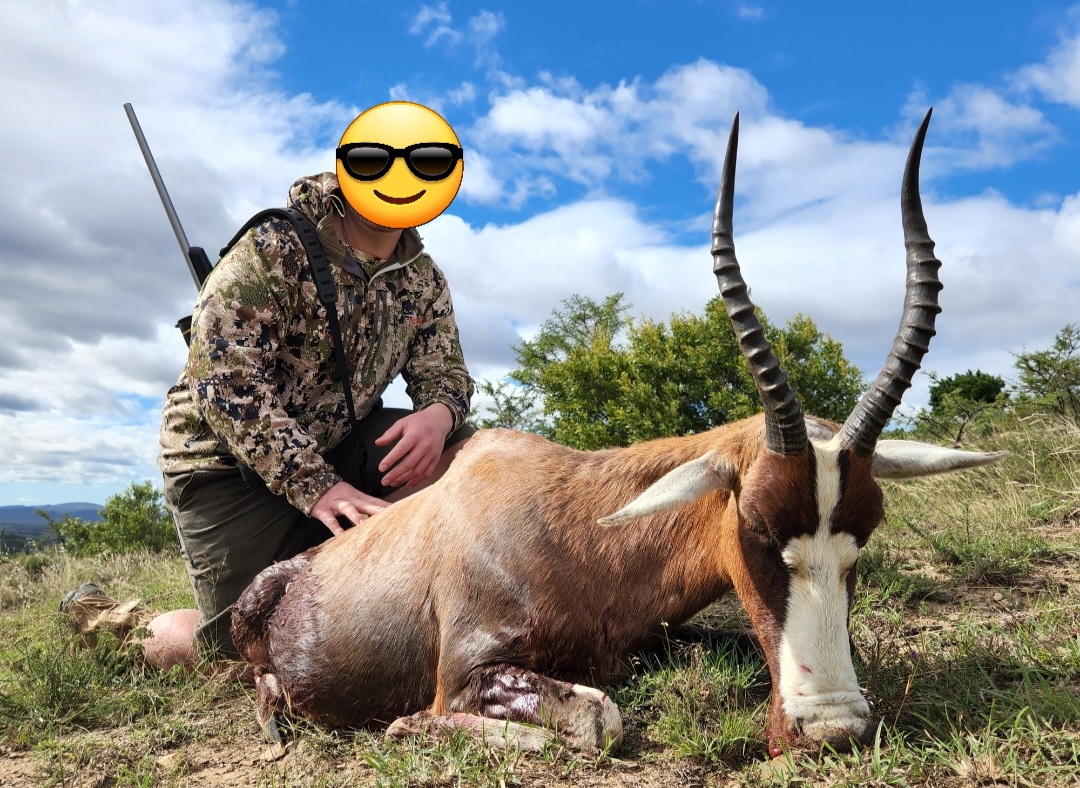 Cull Blesbuck.jpg