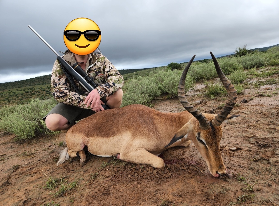 Cull impala.jpg