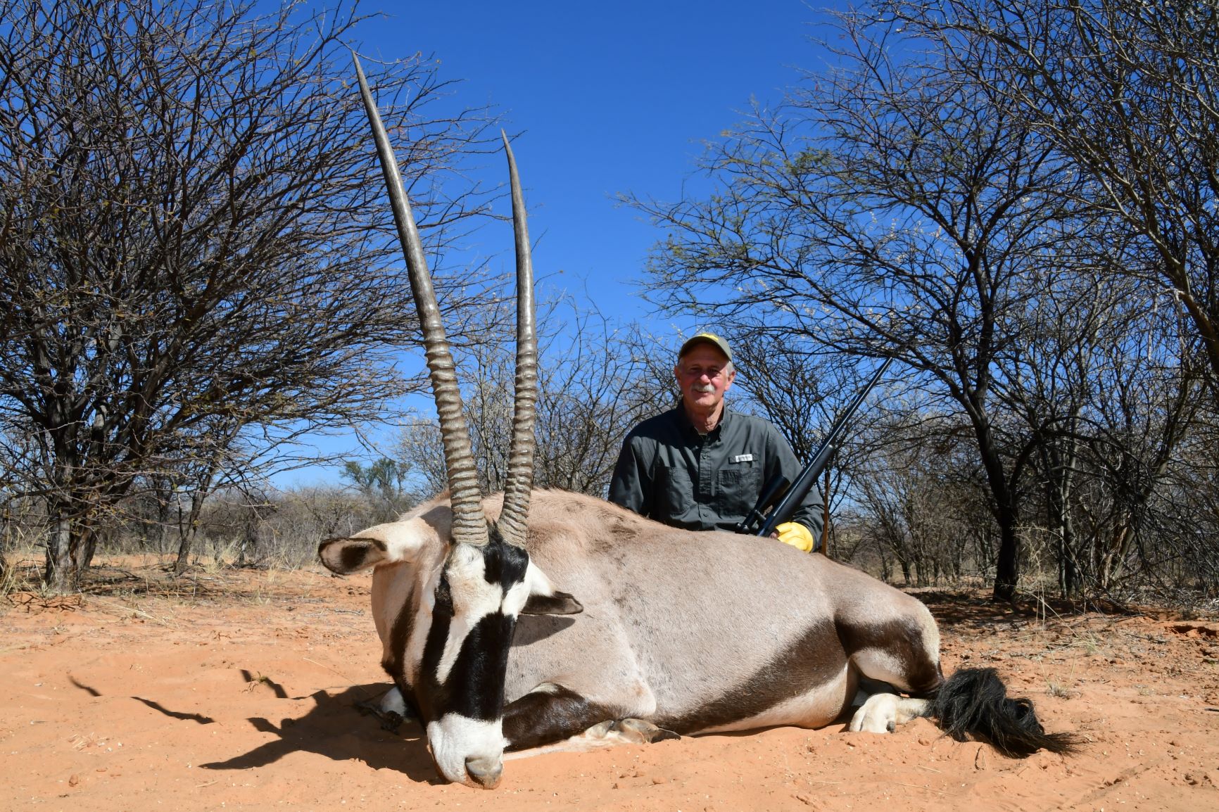 Dad_gemsbok1.JPG