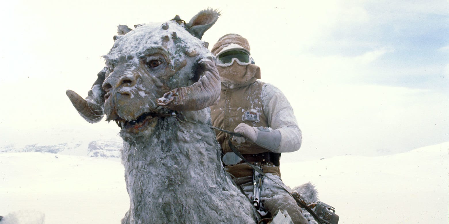 databank_tauntaun_01_169_b7307446.jpeg