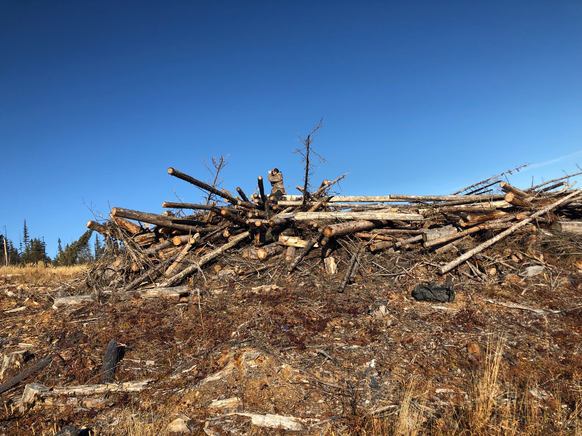 Day 6 Connor glassing from wood pile.jpg