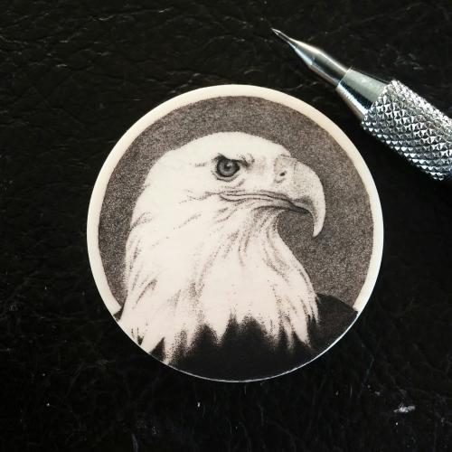 Eagle Chip.jpg