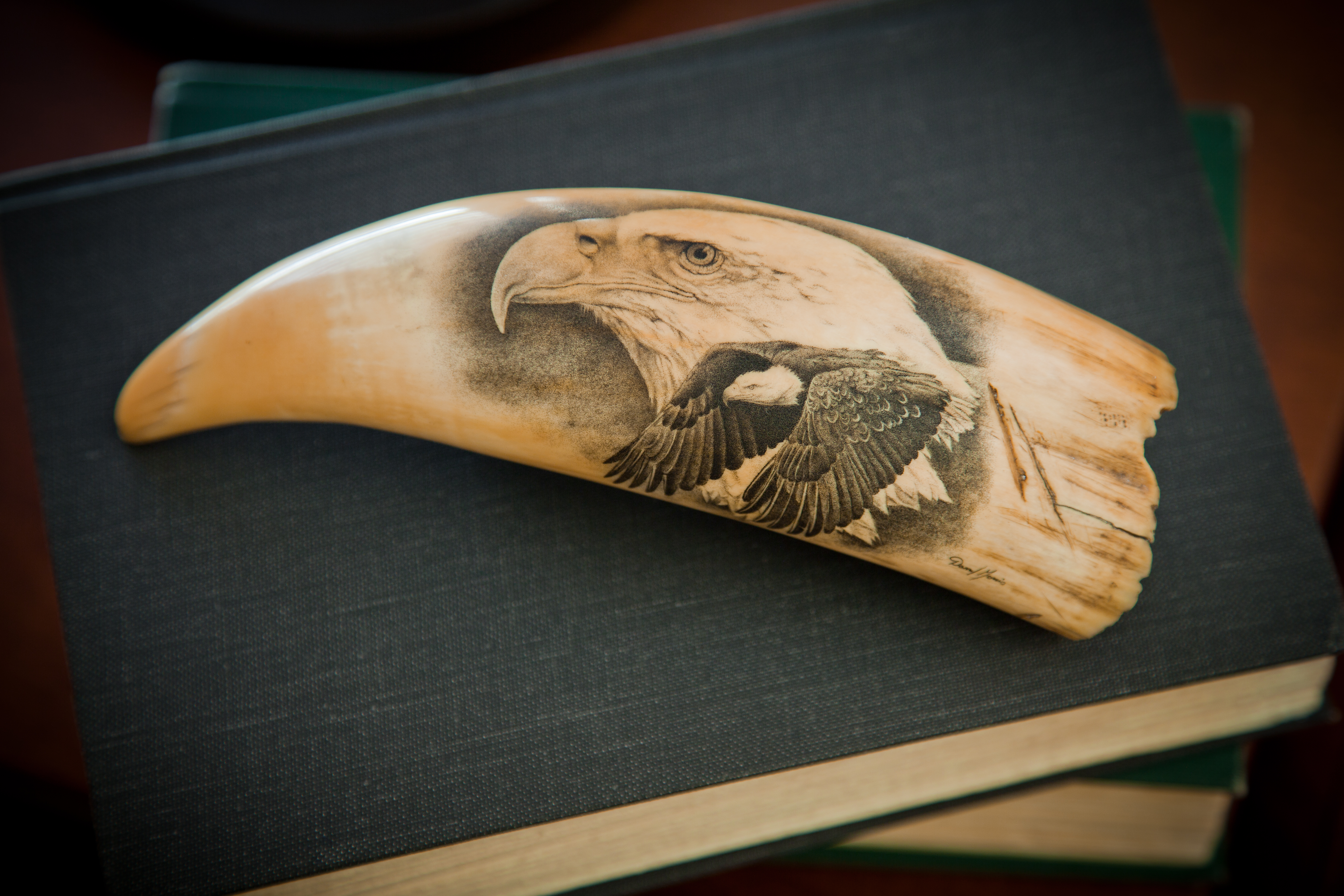 Eagle Scrimshaw.jpg