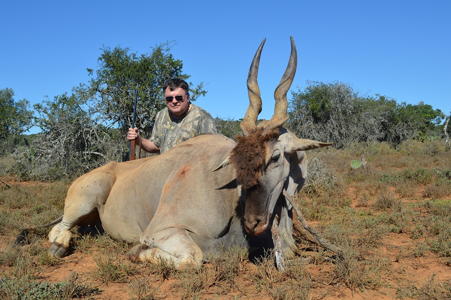 Eland 1.JPG