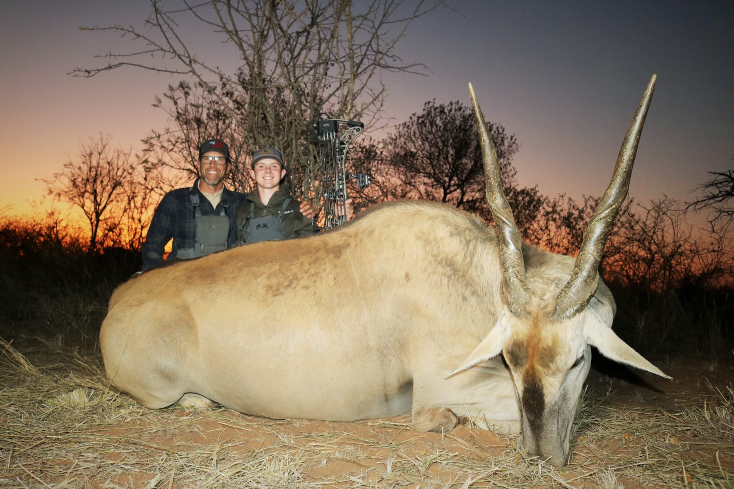 eland 7 father-son bow.jpg