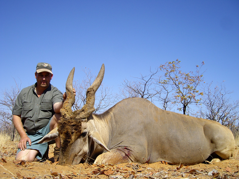 Eland Bull.jpg