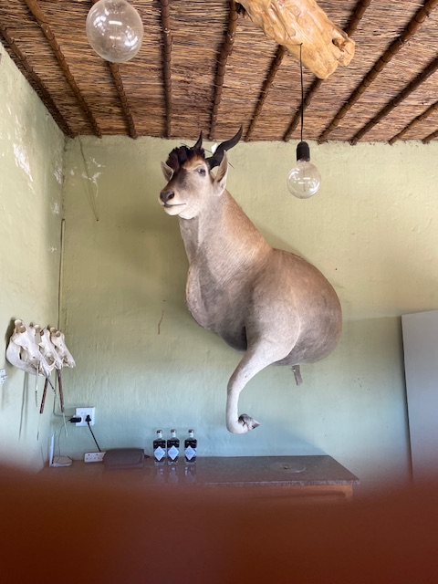 Eland.jpg