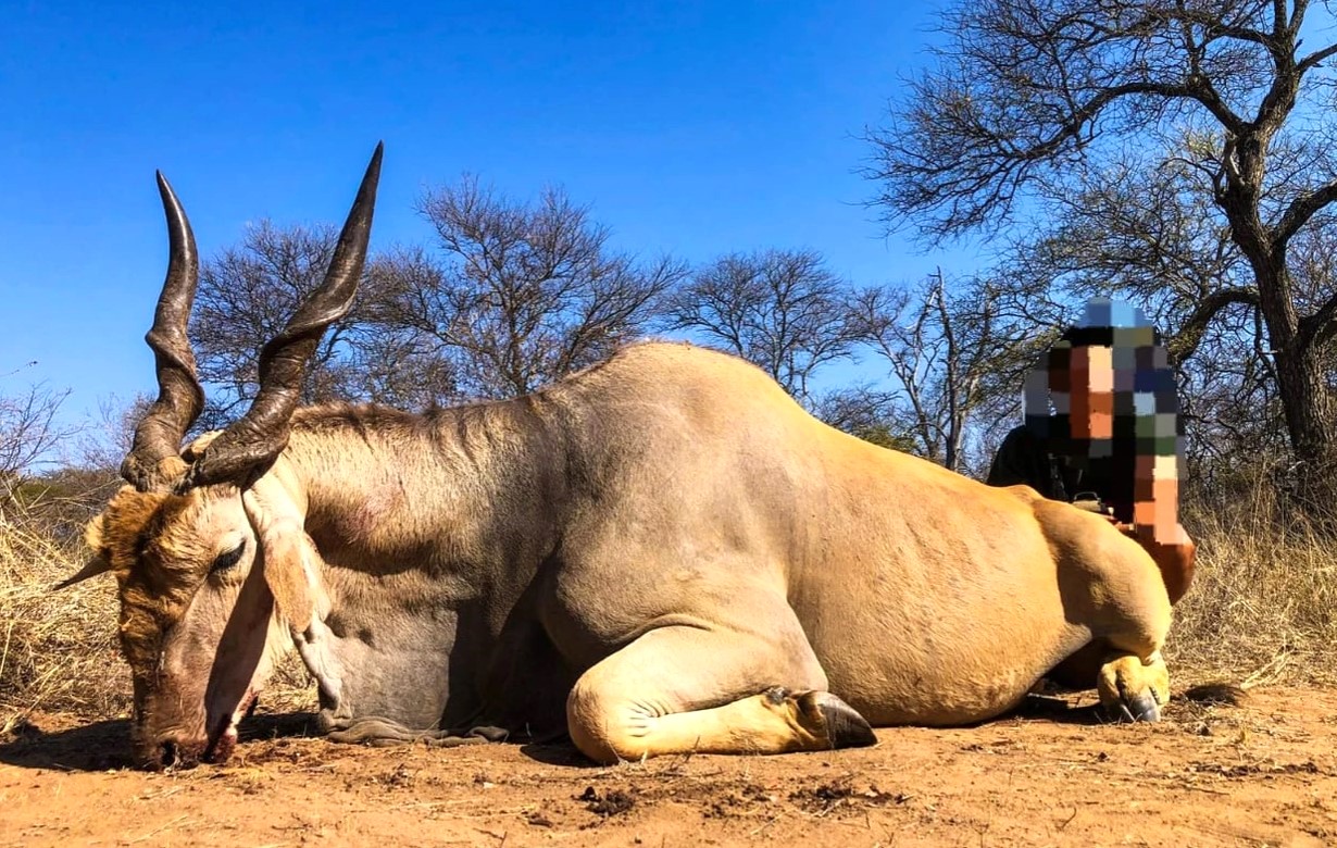 Eland.jpg