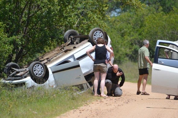 elephant-car-1353000927.jpg