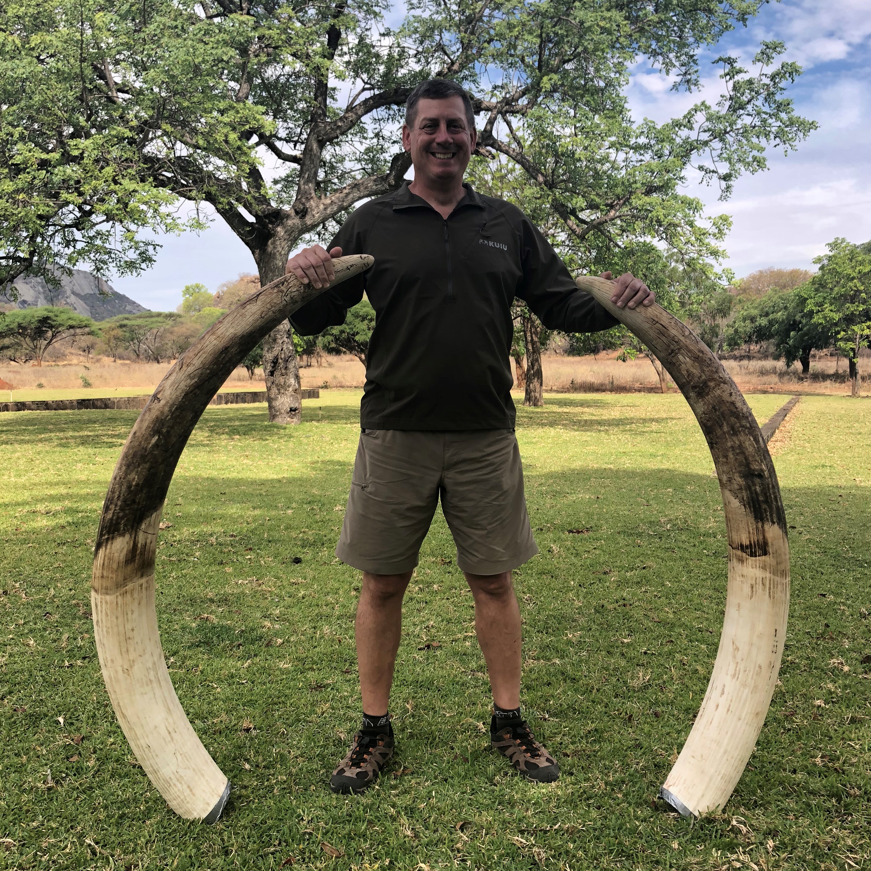 Elephant Tusks.jpg