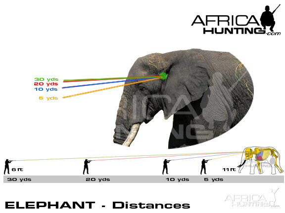 elephant_distances_2.jpg