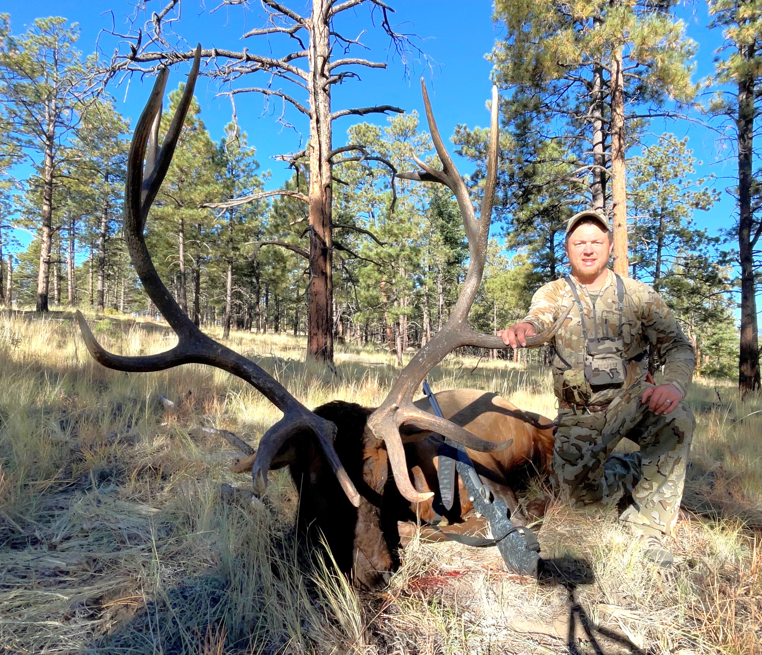 Elk 2.jpeg