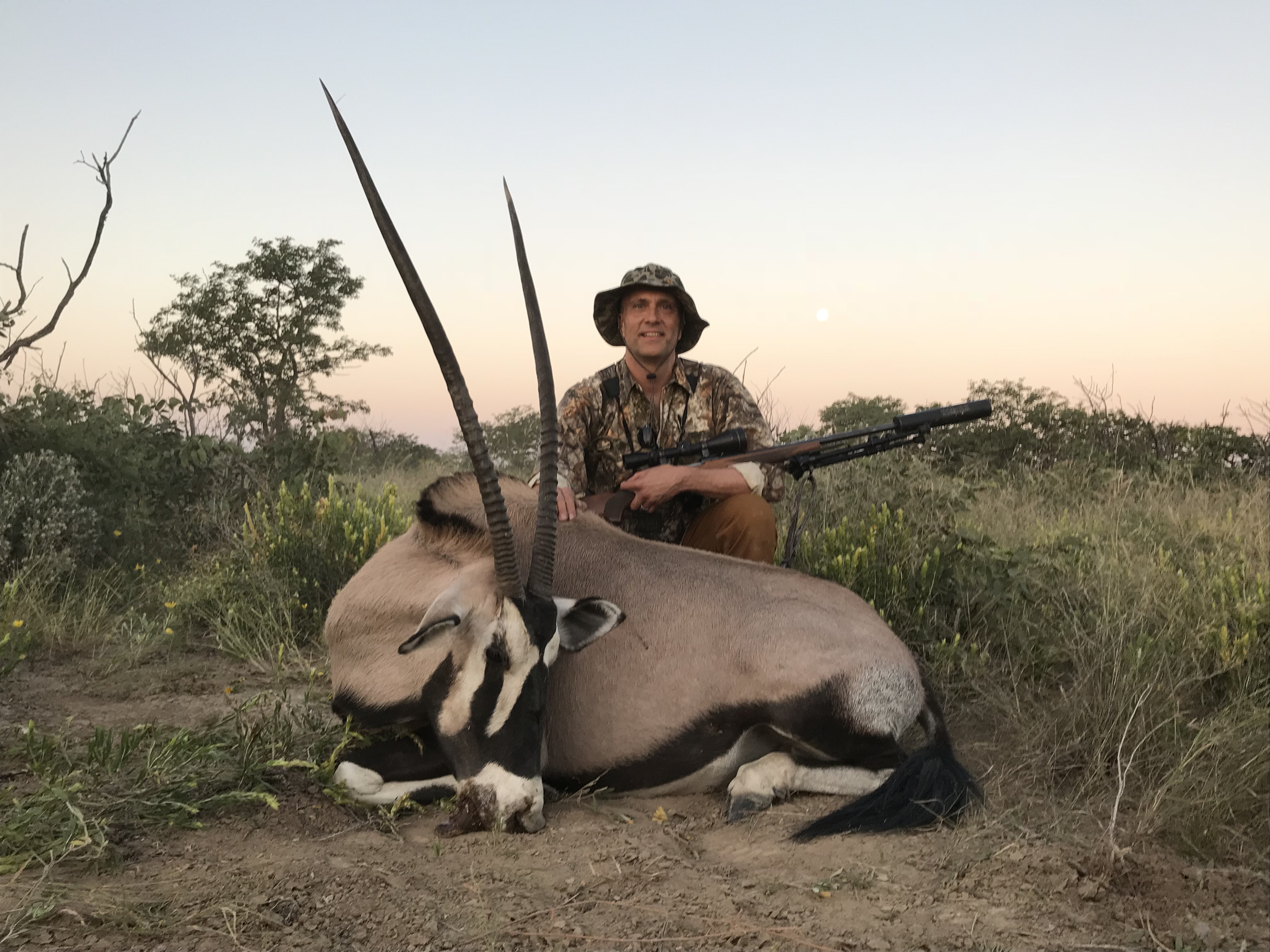 Etosha View Oryx Cow.JPG